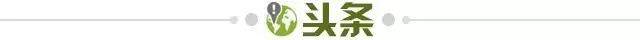 开云体育官网-【早报】C罗缺席+拥抱魔笛，克罗地亚小胜葡萄牙！